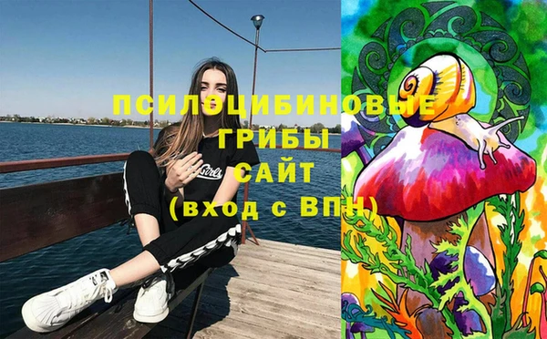 метамфетамин Липки