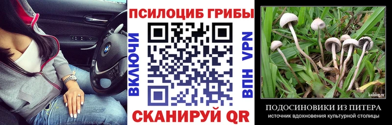 продажа наркотиков  сайты даркнета телеграм  Галлюциногенные грибы прущие грибы  Туран 